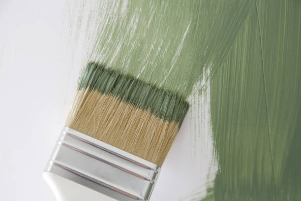 Best Dehumidification Services  in Kent, WA